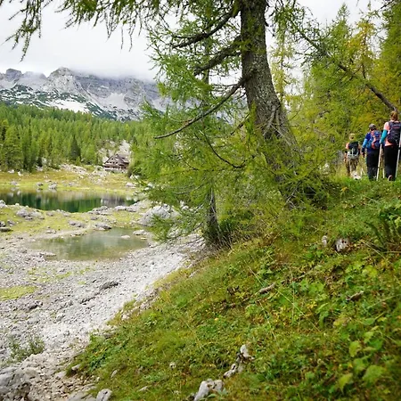 Hébergement de vacances Hike&bike Above Valley *