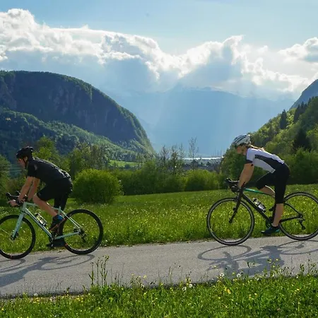 Hike&bike Above Valley Hébergement de vacances