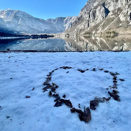 Hike&bike Above Valley Bohinj