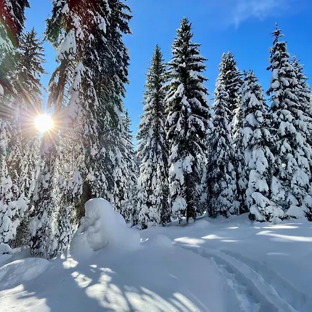 Сasa de vacaciones Hike&bike Above Valley Bohinj