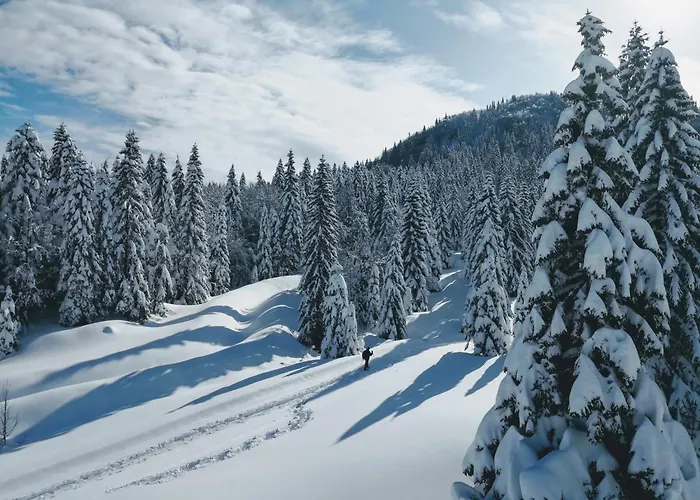 Hike&bike Above Valley Σπίτι διακοπών *
