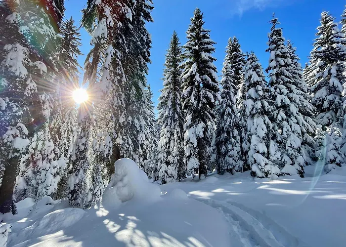 Σπίτι διακοπών Hike&bike Above Valley Bohinj